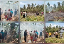 Polisi - TNI Bersama Warga Damau Kolaborasi Padamkan Kebakaran Kebun