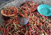 Harga Cabai di Pasar Melonguane Turun Jadi Rp130 Ribu
