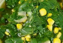 Manfaat Sayur Daun Kelor yang Sudah Dimasak bagi Kesehatan