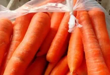 Kandungan Vitamin dan Antioksidan Sayur Wortel Berdampak Baik untuk Kesehatan