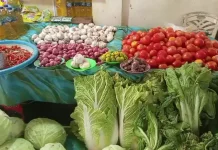 Kemarau Picu Kenaikan Harga Bumbu Dapur di Melonguane