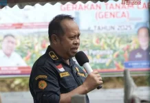 Kemarau Picu Gagal Panen Petani Talaud