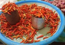 Harga Cabai Terjadi Kenaikkan, Pedagang Talaud Mengaku Alami Kerugian