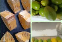 Kemarau Panjang, INGMART Melonguane Kekurangan Suplai Buah Lokal