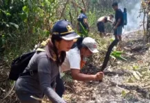 Warga Akas Bahu Membahu Padamkan Kebakaran Lahan Perkebunan