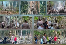 Lahan Pertanian 5 Hektare di Talaud Ludes Terbakar, Kerugian Ratusan Juta