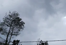Hampir Dua Bulan Menanti, Hujan Turun di Melonguane Talaud
