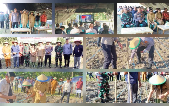 Polres Talaud Tanam Jagung Serentak Dukung Swasembada Pangan