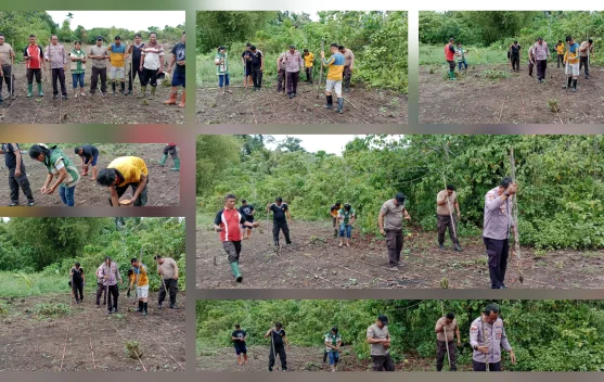 Polsek Rainis  Dukung Swasembada Pangan 2026 lewat Tanam Jagung