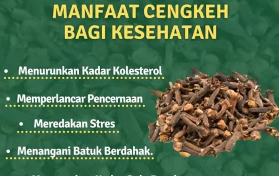 Kenali Manfaat Cengkih Bagi Kesehatan