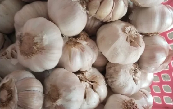 Bawang Putih di Pasar Lirung Turun