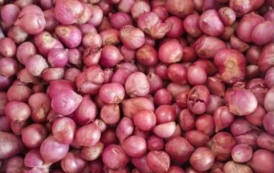 Harga Bawang Merah Naik 69 Ribu Rupiah per Kilogram