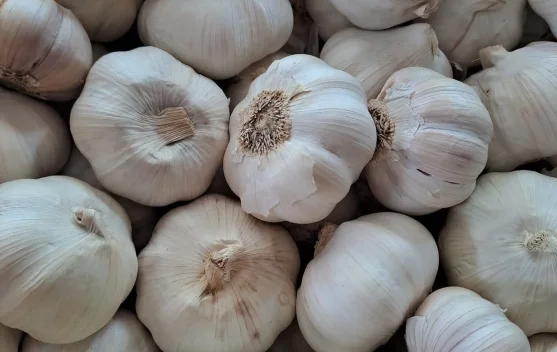 Harga Bawang Putih di Talaud Berangsur-angsur Turun