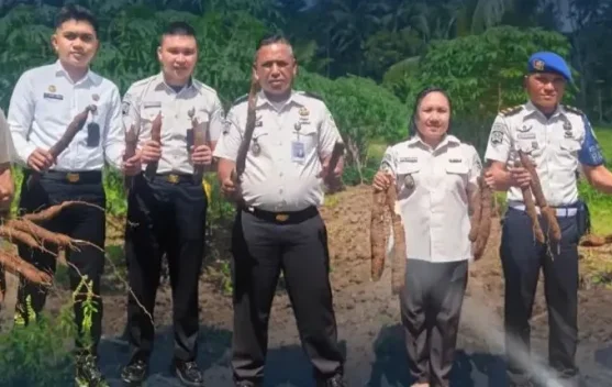 Lapas Lirung  Gelar Panen Singkong Suport Hanpangan