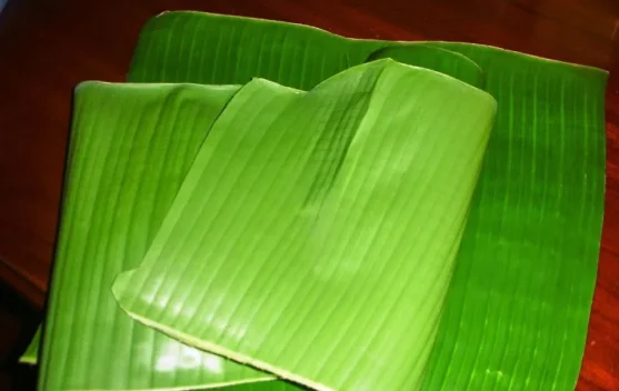 Daun Pisang, Pembungkus Alami yang Menambah Aroma dan Menjaga Kualitas Makanan