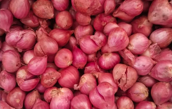 Harga Bawang Merah Turun di Pasar Melonguane