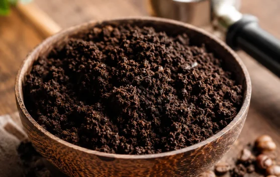Manfaat Ampas Kopi untuk Kulit, Rambut, dan Tanaman
