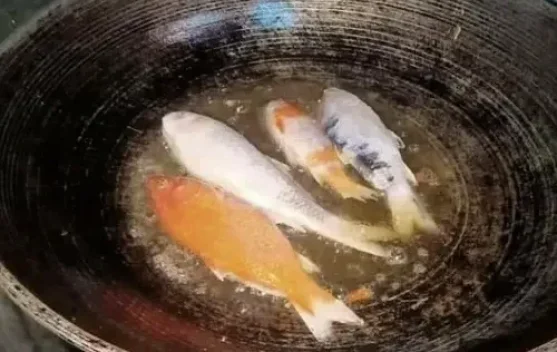 Manfaat Ikan Loi, Sumber Protein dan Gizi untuk Kesehatan
