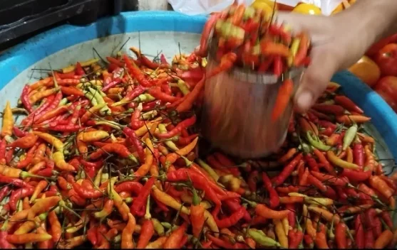 Harga Cabai di Pasar Melonguane Kembali Naik Menjadi Rp150 Ribu per Kilogram
