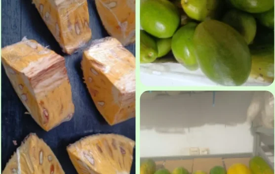 Kemarau Panjang, INGMART Melonguane Kekurangan Suplai Buah Lokal