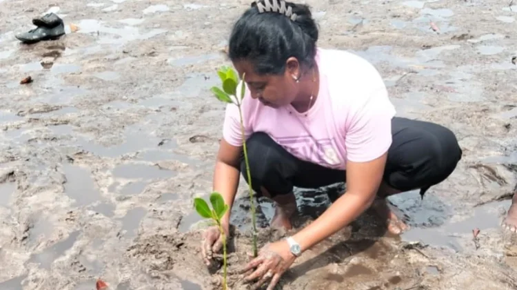 Kolaborasi Konservasi Mangrove GLI Kepri bersama Heroes UMRAH