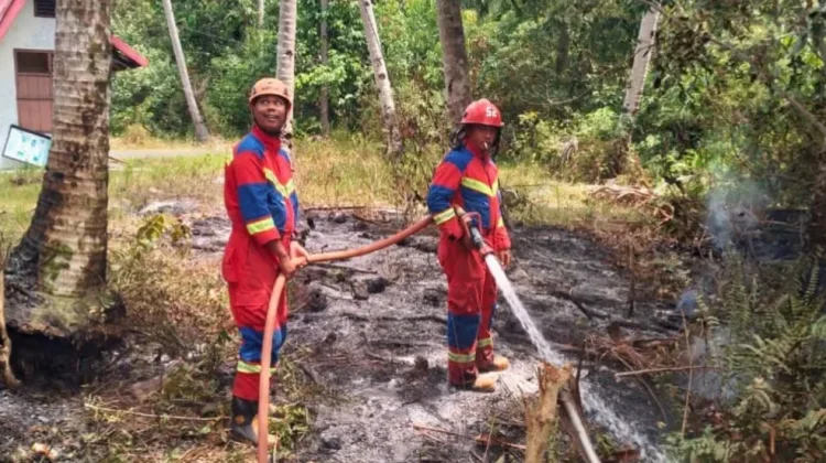 Dua Kebakaran Hutan Terjadi Sehari di Singkep