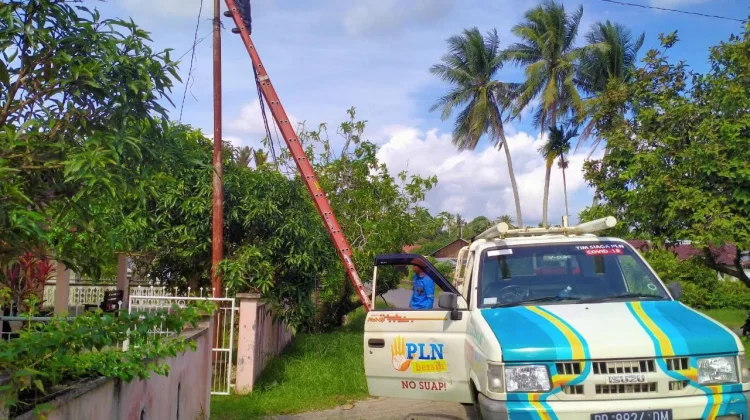 Pohon Tumbang Picu Gangguan Listrik Lingga