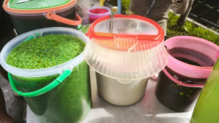 Segarnya Cendol Jadi Favorit Menu Berbuka