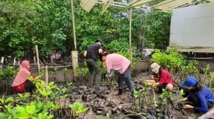 Republic Polytechnic, Singapura, Antusias Belajar di Pengudang Mangrove