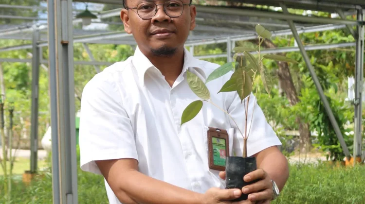 Restorasi Mangrove Perkuat Ketahanan Lingkungan dan Ekonomi Masyarakat