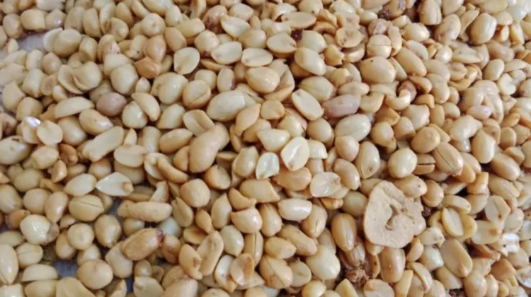 Kacang Tojin Tetap Jadi Camilan Favorit Masyarakat Tanjungpinang