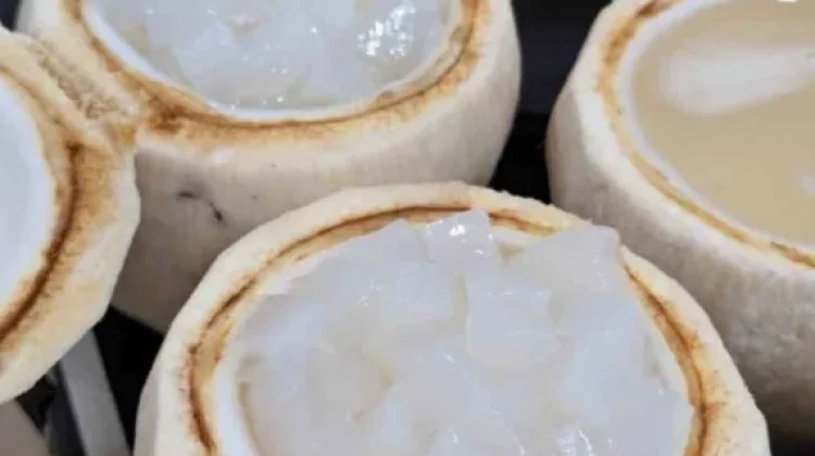 Air Kelapa: Air Isotonik Alami Pengganti Cairan Tubuh
