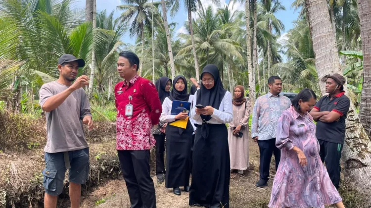 Kelapa Dalam Kawal Diusulkan Menjadi Potensi Indikasi Geografis