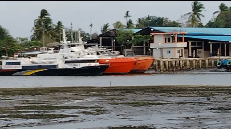 Transportasi Menjadi Tantangan di Kepri dalam Pengendalian Inflasi