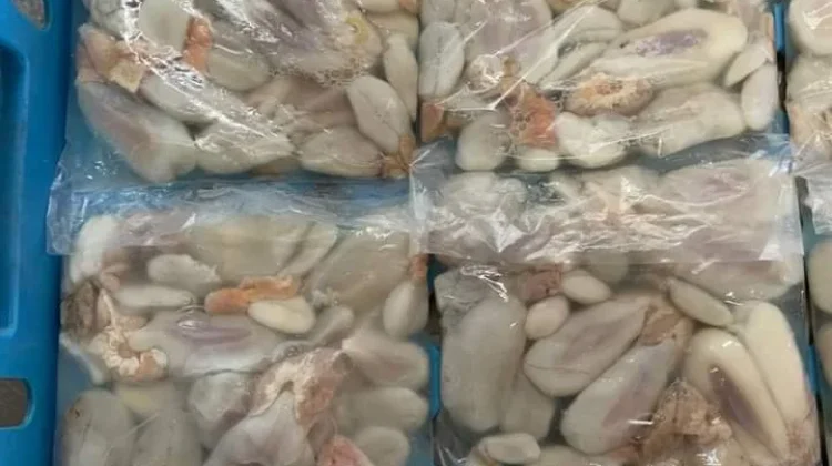 Telur Sotong Mulai Digemari Masyarakat, Jadi Peluang Usaha Kuliner Lokal