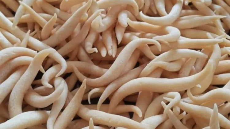 Kue Keju Daki Paling Diserbu Masyarakat, Permintaan Meningkat Tajam