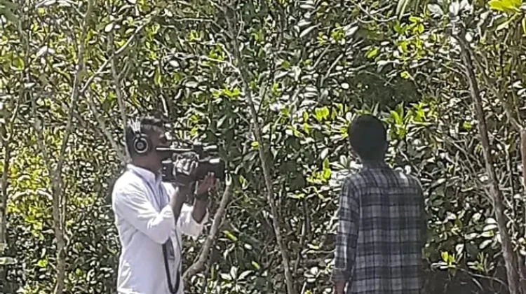 Mangrove Guru bagi Kehidupan Pesisir