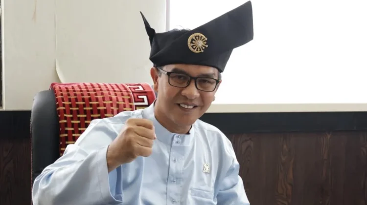 Penerimaan PAD kurang, DPRD Provinsi Kepri Meminta kaji Ulang PSN