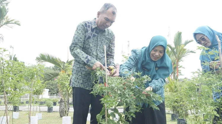 PKK Lingga Panen Cabai, Harga Pedas Disiasati