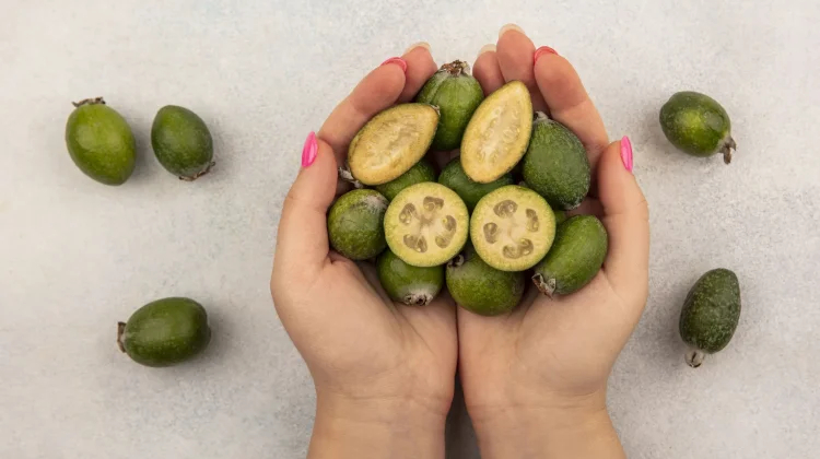 Buah Pinang Simbol Adat dan Kehormatan