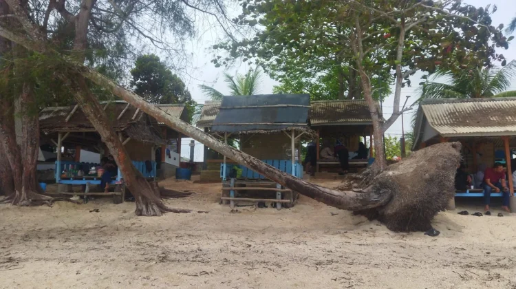 Penyewaan Pondok di Pantai Trikora Raup Keuntungan Lumayan Besar saat Hari Libur
