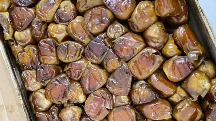 Konsumsi Kurma Sesuai Kebutuhan dan Rasakan Manfaatnya
