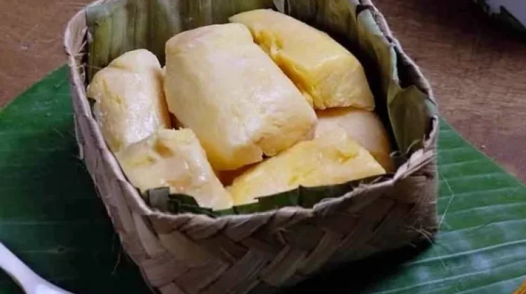 Tape, Makanan Lokal Sumber Probiotik