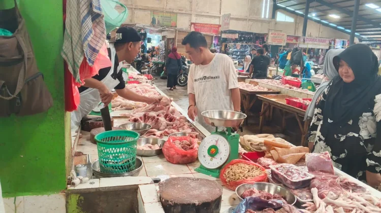 Harga Ayam Potong Naik Jadi Rp45 Ribu, Stok Mengalami Kekurangan di Produsen