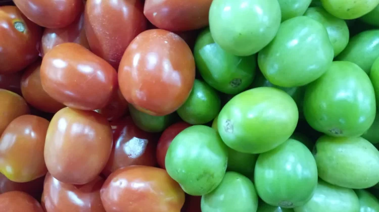 Selain Warna, Apa Perbedaan Tomat Merah dan Hijau?
