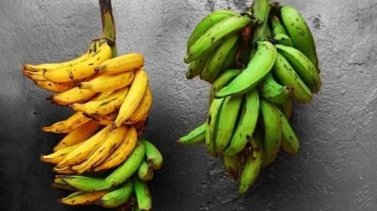 Pisang Kuning atau Hijau Pilihan Sehat Serat Gula