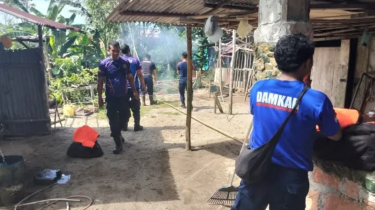 Damkar Sigap Evakuasi Tawon, Warga Tak Lagi Waswas