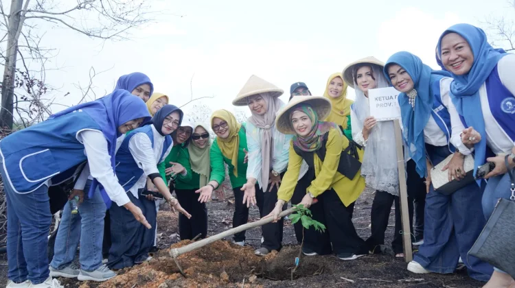 Bantuan Bibit BKOW Kepri Sasar Petani Cikolek Toapaya Selatan