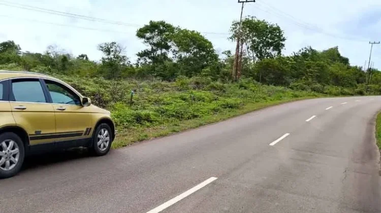 Hindari Kecelakaan di Jalan Raya dengan Tips Berikut