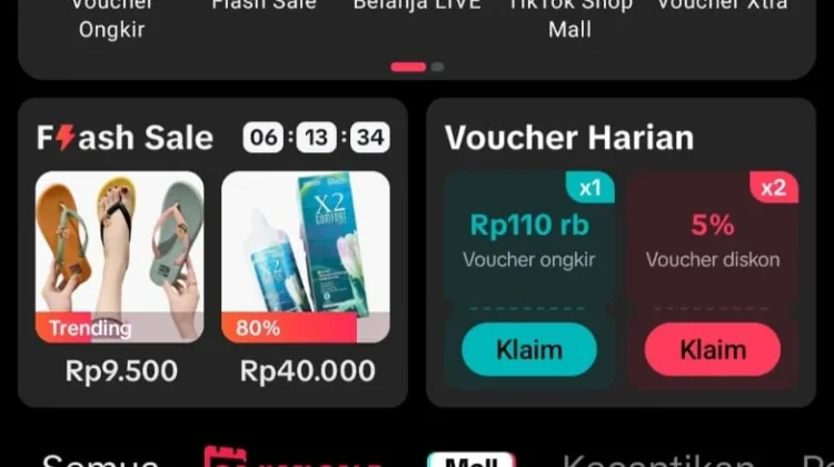 Masyarakat Beralih ke TikTok Shop, Harga Murah dan Diskon Jadi Daya Tarik Utama